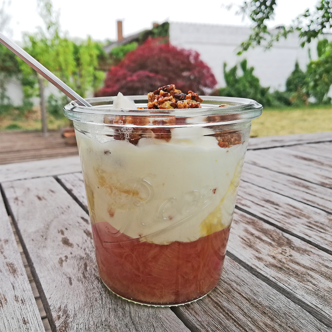 Rhabarber Ingwer Syllabub: Rexglas.at