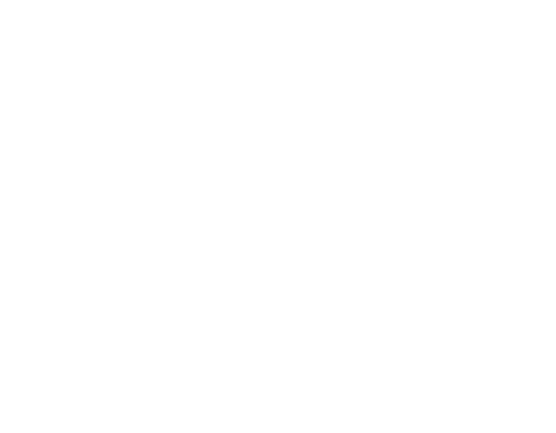 Logo: MyRex